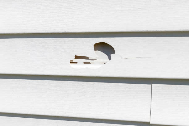 Best Siding Painting and Refinishing  in Yacolt, WA